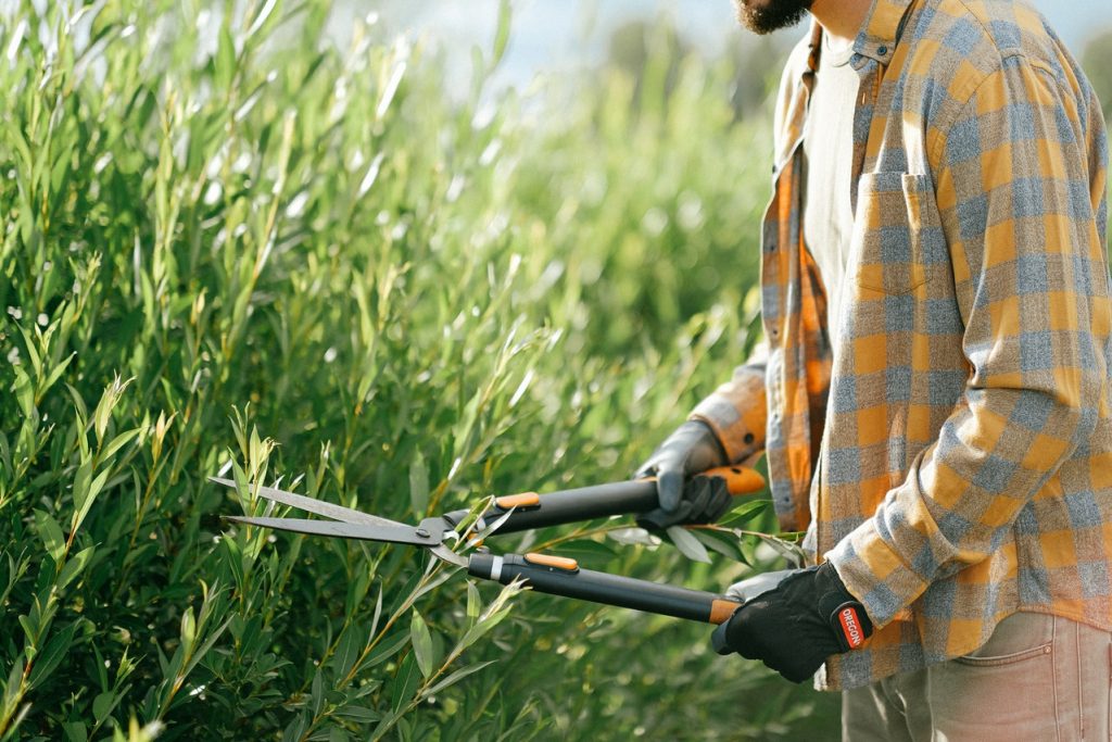 start your own gardening business