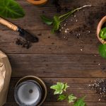 Easiest Herbs to Grow for Your Herb Garden Business