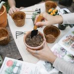 How to Promote Your Herb Garden Business