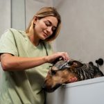 How to hire a dog grooming business employee