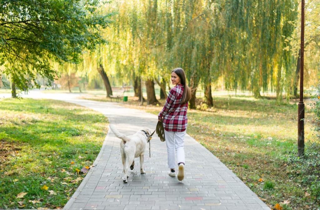 What dog breed needs the most walking