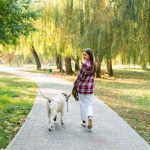 What dog breed needs the most walking