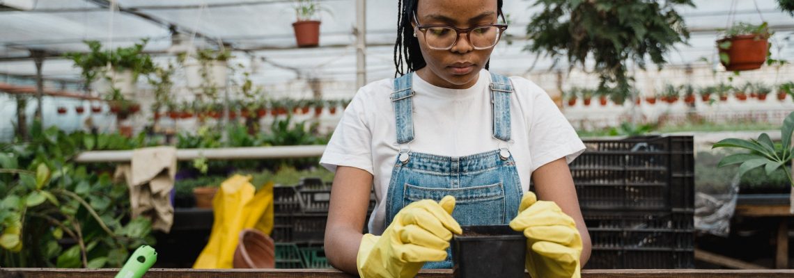 Herb Garden Business in Australia